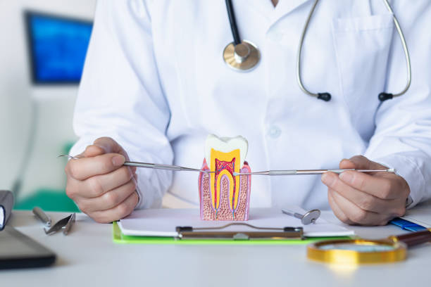 Best Emergency Dental Care for Broken or Chipped Teeth in Monticello, UT